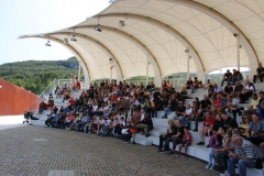 IMG_0545