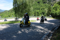 IMG_8602-FILEminimizer