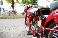 IMG_5651-FILEminimizer