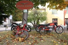 IMG_5676-FILEminimizer