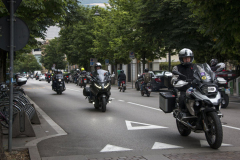FILEminimizer-IMG_1341