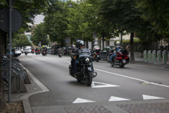 FILEminimizer-IMG_1343